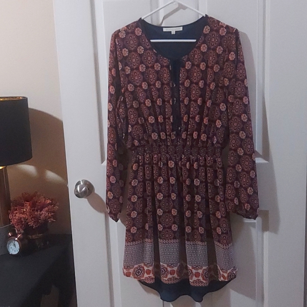 Beautiful Paisley Daniel Rainn Dress LG